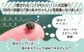【自由研究にも大活躍】疲れたときに癒される！指先ほ