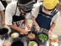 キラメキノ未来、『京都産メンマプロジェクト2025』の