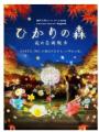 六甲高山植物園 林床に咲く涼しげな花 森の妖精 レン