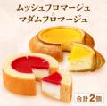【福井県坂井市ふるさと納税】これまで最大８カ月待ち