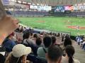 【ＤＴＳ】社員一丸となって　「女子野球・伝統の一戦