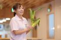 【開催レポート】猛暑で品薄の夏野菜　捨てるところな