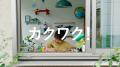 ゼブラ公式キャラクター「Hi! Mckee」が大量発生utf-8