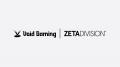Void Gaming × ZETA DIVISION コラボコントローラー先