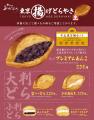ドーナツより軽い！ふわサク食感の“ネオ和菓子”『揚げ