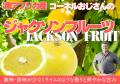 ニューシーズン到来！南アフリカ産ジャクソンフルーツ