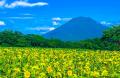北海道ニセコ町の魅力を映像×音楽で発信！「ニセコ町