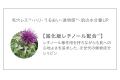 天然由来成分100％のスキンケアメイクブランド「Natur