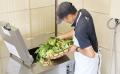 夏休み自由研究に最適｜マリーナとしてアジア初の「ブ