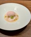 【東麻布いと】8月限定メニューのご案内