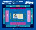 「SPRINGS WORLD CHALLENGE VOLLEYBALL 2025（エキシ