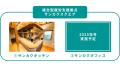 働きたいけど、働けない若者の働く1歩を支援する複合
