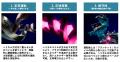 世界初の商用利用可能な核融合炉実現を目指すHelical 