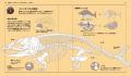 【空想図鑑の新傑作！】「寿司」に擬態する新生物発見