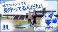 【株式会社ミライト・ワン】犬型ロボット「ミライト・