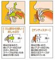 ベビー用品で国内初！「デンティスターシリーズ」が健