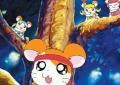 ハム太郎をみんなでお祝い！誕生日当日8月6日（水）に