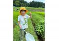 新潟上越の生産者と交流　中山間地で棚田の景観と米作