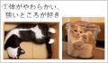 外国ルーツの子供たち向けに「猫の飼い方教室」を開催