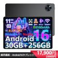 【楽天市場0と5つく日の限定】超お得！DOOGEEの最新An