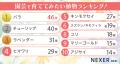 【園芸に興味がある方に聞いた】園芸で育ててみたい植