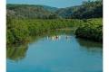 「ふるなび」で、沖縄県東村のふるさと納税業務代行サ