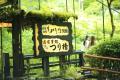 【バンヤンツリー・東山 京都】京都の夏を五感で満喫