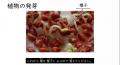 ICT教材eboard、義務教育課程の映像授業字幕で ふりが