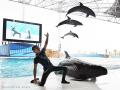 自然体験を通じて、“海を守る冒険”を現役アニマルトレ