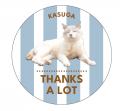 【福岡県春日市】飼い主のいない猫の命と地域での幸せ