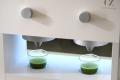 【新商品】抹茶メニューを導入したいカフェ・レストラ