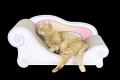 超強化段ボール製で研ぎカスが出にくい！猫も大満足の