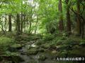【ANAクラウンプラザホテル成田】気軽にリゾート気分