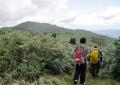 国定公園・氷ノ山を鳥取県側から登るための新サイト「