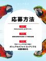 オンライン美術館『シェアカメ写真館』開館のお知らせ
