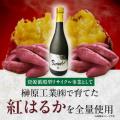 《８月３１日まで》物価高応援企画！ふるさと納税で生