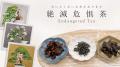 “Nature Positive Festival” 開催のお知らせ
