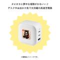 台湾エクセレンスの「福熊」とハイタッチで、1回10円