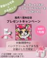 【8月8日は“世界猫の日”】愛猫家向けハンドクリーム販