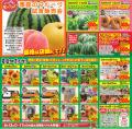 ＜埼玉＞道の駅おがわまち 農産イベントもりだくutf-8