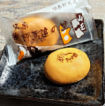 【未来ワークふくしま移住セミナー】vol.20「おひとり