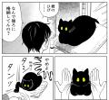 【猫コミック作家を大募集！ 今回はAKR先生が特別審査