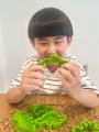 福井県立恐竜博物館25周年記念ブランドムック『福井県