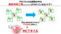 2か月で6kg減 医師の実体験から生まれた『やせるutf-8