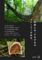 木を「資源」ではなく「生き物」として共に暮らす