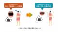 食事の一口の大きさと肥満の関連を確認