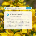 【Naturecan × HelloMitz】心身を大事にしたい方に贈