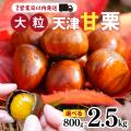 兵庫県のふるさと納税額、過去最高の11億円の受入を実