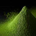 世界に広がる抹茶文化を日本の海の玄関口・横浜で。横