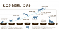 ねこから目線。が京都市の「多頭飼育崩壊防止のutf-8